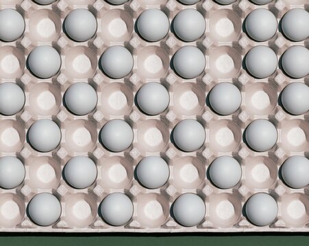 White eggs in a molded pulp carton, arranged in a precise grid with a dry matte texture for food storage and grocery layout concepts
