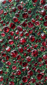 Photorealistic extreme macro texture completely filled with polished eclogite featuring deep red garnet crystal nodules embedded in a vibrant green omphacite matrix for striking geological and luxury 