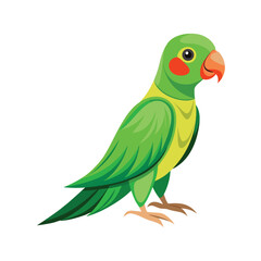 Fototapeta premium Parrot bird character vector illustration isolated on white background