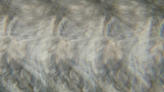 Defocused ink wave. Light kaleidoscope. White color fog flow water rainbow liquid pigment floating on abstract acrylic art background.