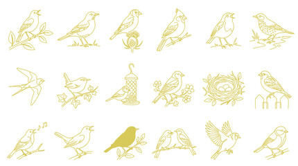 Obraz premium Nature Birds Black and White Line Art Set. Outline Drawings of Various Wild Birds, Nests, and Feeders.