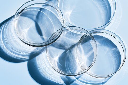 Clean glass dishes cast sharp shadows and reflections on a soft blue surface
