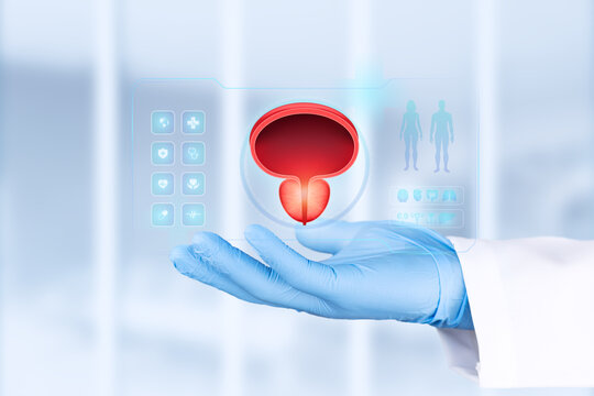 A doctor's hand, gloved in light blue, examines an image of the male prostate gland. Concept of urology, pathology, and prostate cancer detection. Bokeh background. Isolated.