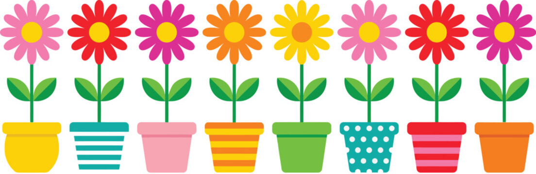Row of eight colorful daisy flowers in various patterned and solid colored pots isolated on a white background 1