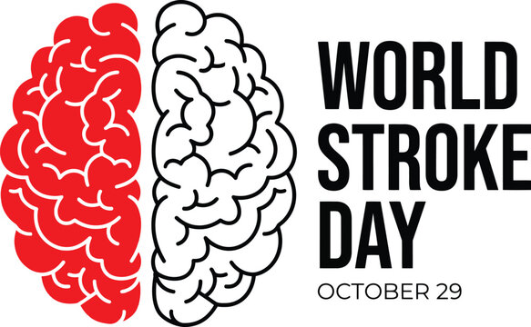 Stroke day with a split human brain featuring a solid red left hemisphere and a black outline right hemisphere next to bold black text on a white background