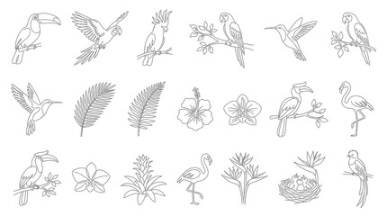 Fototapeta premium Exotic Tropical Birds and Plants Line Art Collection. Hand-Drawn Outline Icons of Jungle Wildlife and Flora.