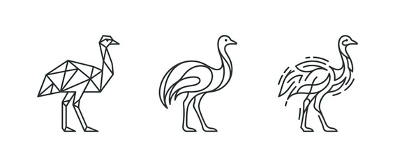 Naklejka premium Three minimalist line art birds in different geometric and organic styles on white background