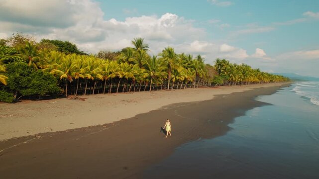 Aerial view of woman walking on black sand beach with palm tree forest and ocean