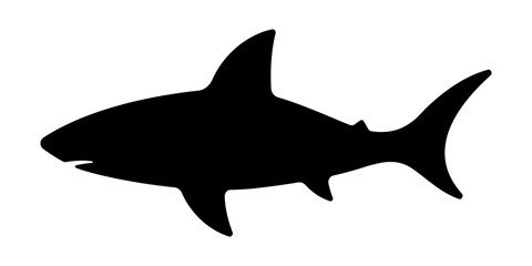 Fototapeta premium Vector Shark Icon on White Background