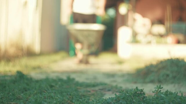 A nostalgic horizontal low angle video shot, moving a garden wheelbarrow from background blur into sharp focus close to the camera on a sunny path at golden hour, using a vintage lens.