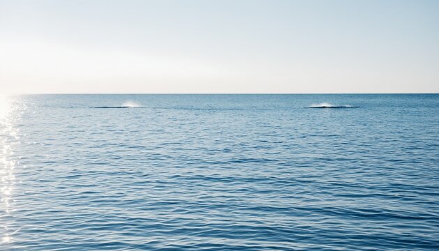 Calm ocean water for tidal and marine energy concept