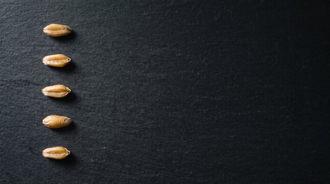 Five Wheat Grains Aligned on Dark Slate Board for International Day for Poverty Eradication and Food Security Concept