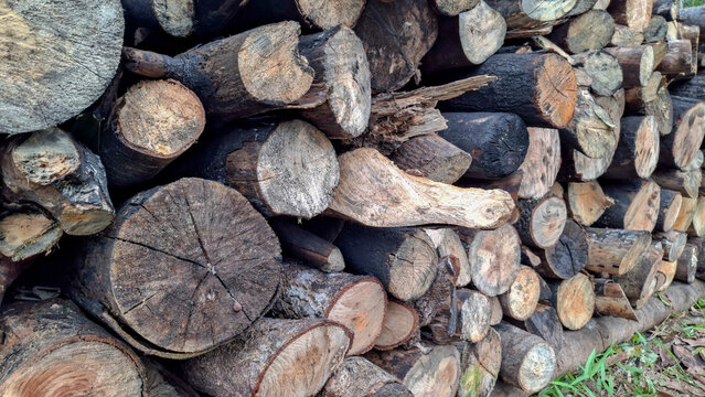 Angled shot showing the depth and arrangement of cut wooden logs stacked outdoors for storage.