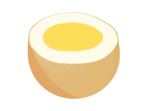 半分にカットして断面が見えているおでんのたまごの手描き厚塗りイラスト