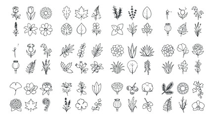 Fototapeta premium Minimalist botanical line art icons, set of 72 floral and leaf vector illustrations, black and white nature sketches for branding