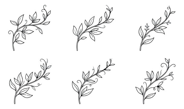 Minimalist hand drawn floral branches, set of 6 elegant leaf line art vectors, botanical laurel illustrations for wedding invitations