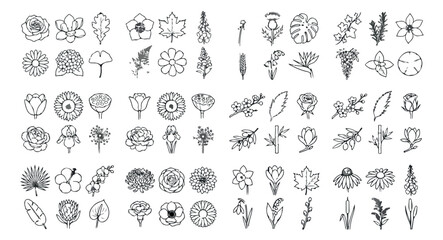 Fototapeta premium Minimalist botanical line art icons, set of 72 floral vector illustrations, black and white flower sketches for wedding branding and logo design