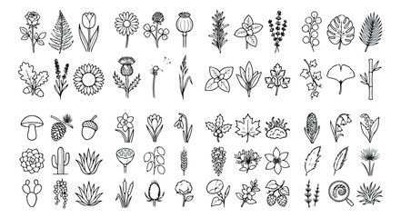 Obraz premium Minimalist botanical line art icons, set of 50 floral and leaf vector illustrations, black hand drawn garden plant symbols