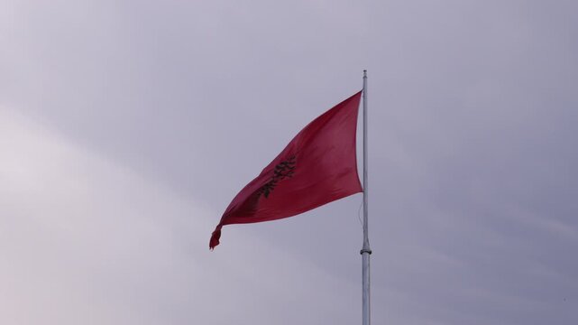 National flag of Albania silhouetted black double-headed eagle in the center of a red field