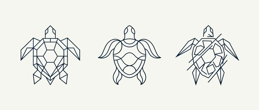 Three minimalist line art sea turtle illustrations with distinct shell patterns on a light background