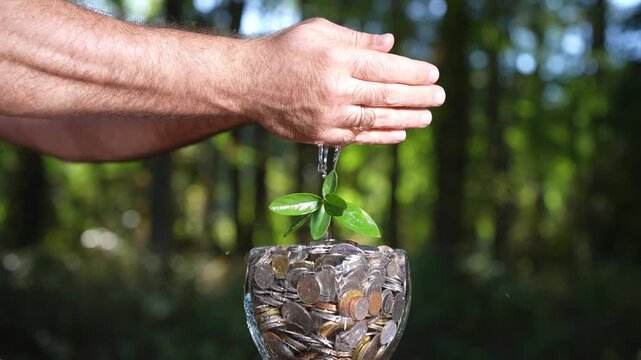 Investor nurturing money growth. Finance success with growing plant. Economy development through smart investment. Wealth growth symbolized by plant. Green finance and profit concept.