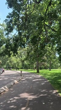 Vertical video POV walk along a shaded park pathway with sun flare filtering through leaves.
