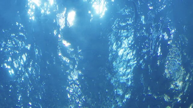 Underwater view looking up at the bright sunlight reflecting on the rippling ocean surface. Two fish swim through the deep blue water with sunbeams and bubbles creating a serene atmosphere.
