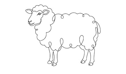 Wool Sheep Single Continuous Line Art Farm Animal Vector Illustration © MD