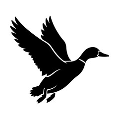 Fototapeta premium Wild Duck Flying Vector Illustration, Black Silhouette Design, Wildlife Concept Featuring Animal, Bird