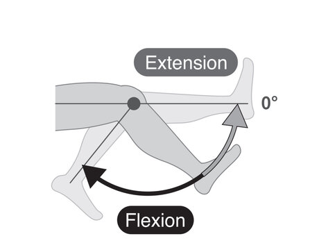 Black and white,  Range of motion of the knee joint: flexion and extension