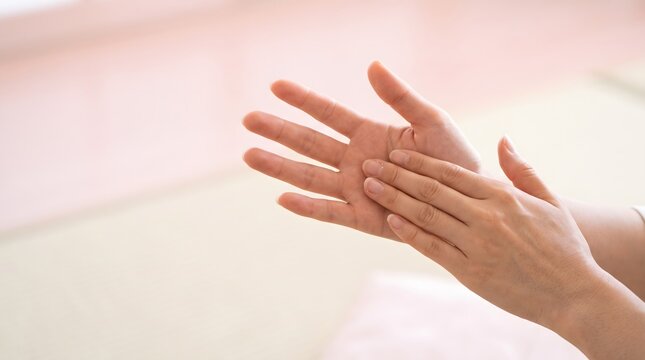Japanese Sign Language Hand Gestures for Accessibility and Inclusive Communication