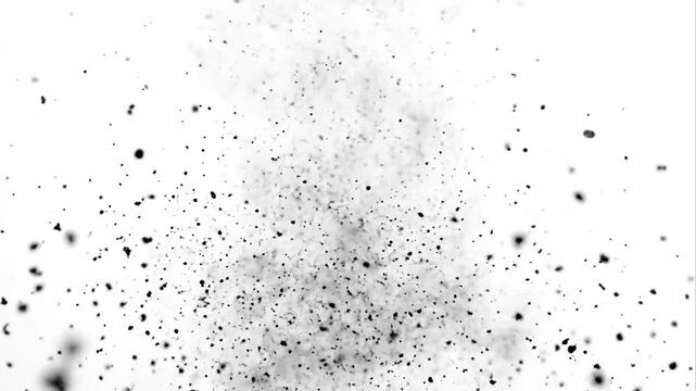 Black Particles and Dust Debris Burst Falling Down on White