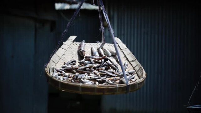 Small freshwater fish drying under the bright sun on a traditional bamboo tray in a rural village.