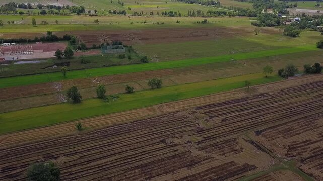 Aerial view of many acres of rice fields.
