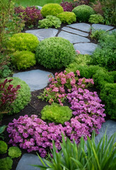 Fototapeta premium Garden design and landscaping flower with purple and pink blossoms green shrubs and natural stone pathway