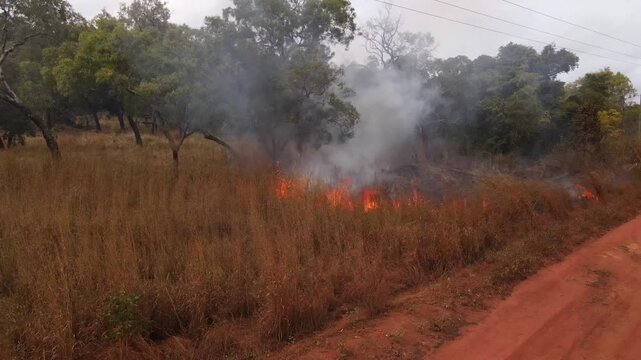 Aerial view of grassfire flaring up beside red dirt road in Cape York, Queensland, Australia. Long dry grass burns with bright flames and billowing white smoke in the remote Australian Outback. 46
