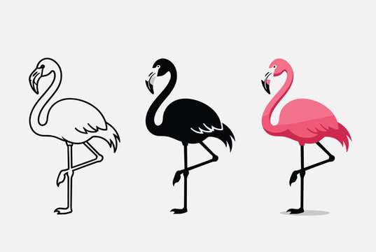 Three versions of a flamingo illustration including a thin line outline a solid black silhouette and a realistic pink color.