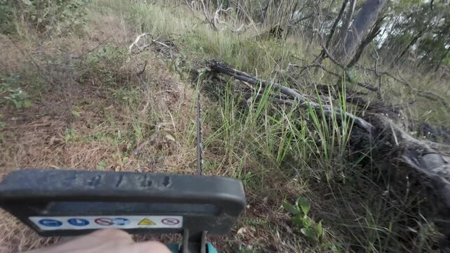 POV footage of man carrying a chainsaw through Australian bushland towards fallen timber and deadfall. Forward-facing action camera perspective, preparing for vegetation clearing.