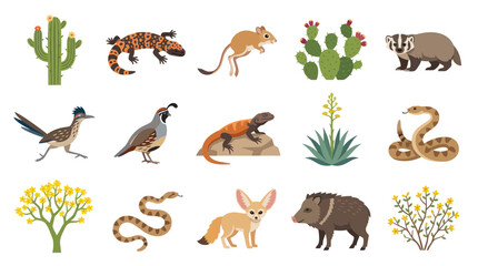 Fototapeta premium Desert Animals and Plants Flat Vector Icons - Wild Nature Illustration