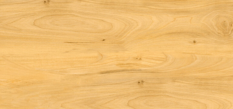 Natural light oak wood texture, smooth golden timber background, horizontal wooden plank surface for interior design and flooring