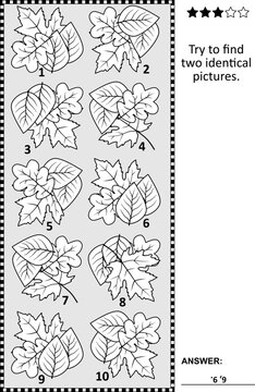 Find two identical pictures with autumn leaves visual puzzle. Answer included.
