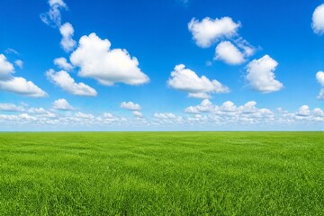 Fototapeta premium Green grass field under expansive blue sky with clouds
