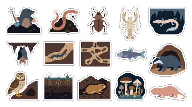 Educational Flat Cartoon Vector Set of Underground and Cave Animals, Insects, and Ecosystems Illustrations