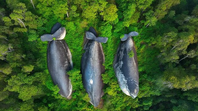 Aerial view of three whale rocks in bueng kan thailand