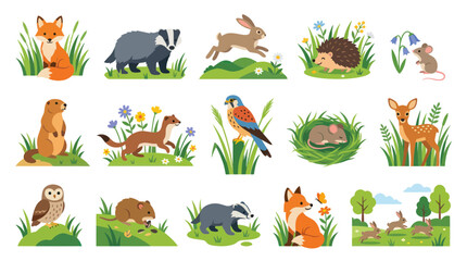 Obraz premium Flat Illustration of Woodland Animals in Nature, Vector Graphics