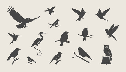 Naklejka premium Collection of fifteen black bird silhouettes in various active poses including flying high, perching, and hunting.