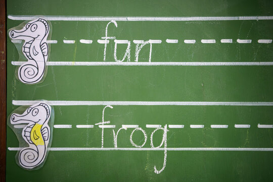 A blackboard with writing shows educational materials featuring seahorse and frog illustrations for early childhood learning - horizontal