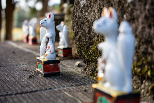 稲荷神社の境内にある白いキツネの陶器像に焦点を当てた、日本の伝統文化や信仰を感じさせる写真