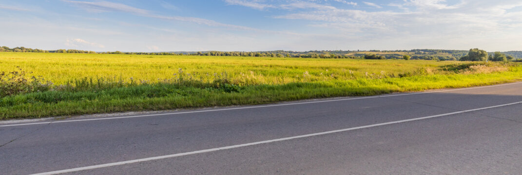 Roadside field bursts with yellow flowers under sunny skies