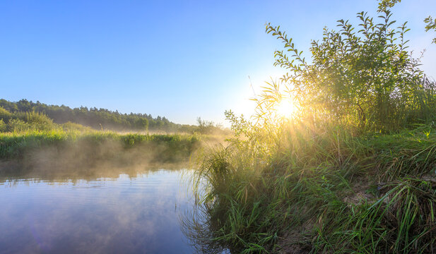 Misty river at dawn, sun peeks through trees